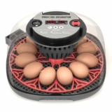 12-24 Egg Incubator with Humidity Display, Egg Candler, Automatic Egg Turner, for Hatching Chickens Duck Quail Parrot