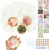 All-in-One Decoupage Scallop Shells w/ Decorative Napkins, Paints, & Brushes Complete Kit