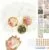 All-in-One Decoupage Scallop Shells w/ Decorative Napkins, Paints, & Brushes Complete Kit