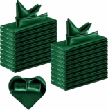 36 PCS Satin Napkins 17 Inch