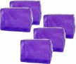 5-Pack Clear Travel Cosmetic Bags