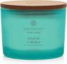 Chesapeake Bay Candle Mind & Body 3-Wick Coffee Table Jar Candle, Nourish + Renew (Coconut & Sandalwood)