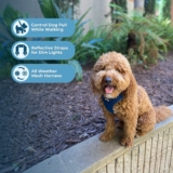 Air Frontier Mesh Dog Harness with Steel Leash D-Ring, Reflective Stitching, and Lightweight Breathable No-Pull Design, Adjustable Neck and Chest Straps, Small