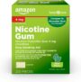 220-Count Amazon Basic Care Nicotine Polacrilex Uncoated Gum 4 mg (nicotine), Mint Flavor