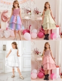 Girl’s Formal Party Fluffy Tulle Sleeveless Belted Dress