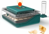 Automatic Egg Incubator for Hatching Eggs