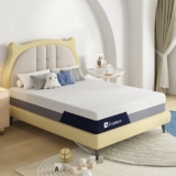 8 Inch Gel Memory Foam Mattress Queen