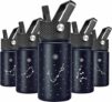 Water Bottle with Straw Lid, 15 oz