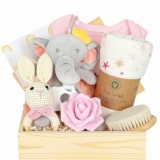 Baby Shower Gift Set w/ Swaddle, Rattle, Onesie & More