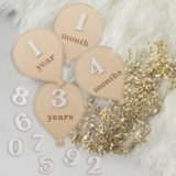 Beautiful Baby Monthly Milestone Wooden Discs with Interchangeable Numbers