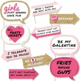 10-Pc Big Dot of Happiness Funny Be My Galentine – Valentine’s Day Photo Booth Props Kit