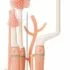 3-Pack Cricut Vinyl Chalkboard, 12″ x 48″