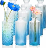 9-Pc Glass Bud Vase Set