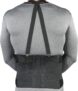 Champion Industrial Back Brace Belt with Shoulder Straps for Abdominal Support, Regular