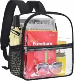 Clear Backpack Mini Small Clear Bag with Front Pocket 12x12x6