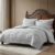 3-Pc ClevaHome Embossed Comforter Set, Queen