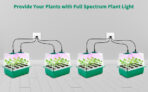 4 Pack  Seed Starter Tray Kit with 2 Lights