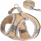 No Pull Dog Harness and Leash Set, Large