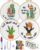 4 Sets Embroidery Kit for Beginners (Cactus)