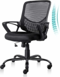 Ergonomic Office Chair
