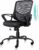 Ergonomic Office Chair