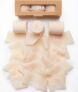 3 Rolls Champagne Ribbon, 1.5″ x 7Yd