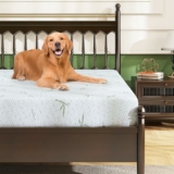 Twin Size Mattress, 8 Inch