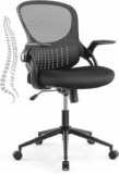 Ergonomic Office Chair with Lumbar Support and Flip-up Armrest, Height Adjustable