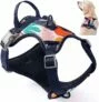 Dog Harness for Medium Sized Dog with Reflective Strip, Handle, & 2 Leash Clips