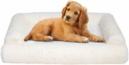 Plush Dog Bed Oam Orthopedic with Non-Skid Bottom, Medium! $6.49 for Small