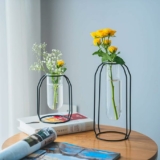 2-Pack Modern Black Frame Glass Vases