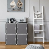 4-Cube Storage Organzier with Doors