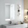 24x36in Brushed Nickel Vanity Bathroom Mirror