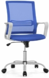 Ergonomic Home Office Chair