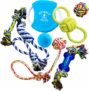 8-Pack Assorted Dog Toys