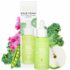 Pacifica Plumping Lip Gloss