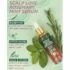 Pacifica Kind Tint SPF 30 Vegan Collagen Primer