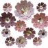 12-Pack 8″ 10″ 12″ Tissue Paper Pom Poms