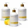 3-Pack Raw Sugar Simply Hand Wash, 16.9 Fl Oz