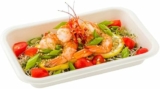 100-Pack Restaurantware Pulp Tek 26 Ounce Bagasse Plates Grease Impervious Salad Plates