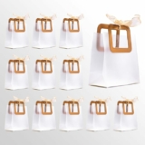 12-Pack Ribbon & Luxe Medium Transparent Gift Bags