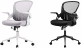 2-Pack Ergonomic Mesh Office Chair