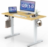 40 x 24 in Electric Height Adjustable Computer Desk