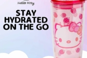 Silver Buffalo Sanrio Hello Kitty Strawberry Double Wall Travel Tumbler with Slide Close Lid, 20 Ounces