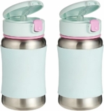 2-Pack Skip Hop Toddler Sippy Cup with Straw