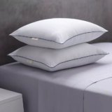 2-Pack Weatherproof Standard  Soft Touch Microfiber Bed Pillow