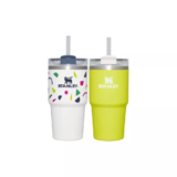 Set of 2 Stanley 20oz Stainless Steel H2.0 Flowstate Quencher Insulated Tumblers