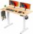 Electric Standing Desk,48 x 24in Adjustable Height