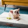 Plush Large Dog Bed with Removable Washable Cover