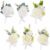 6-Pack Boutonniere for Men